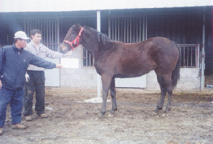 ���Ϻ� ����