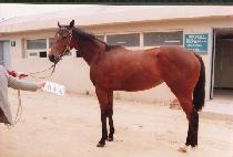 �������� (SUJEONG GUSEUL) ����