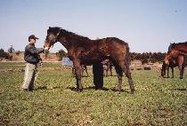 â������ (CHANGGONGEURO) ����