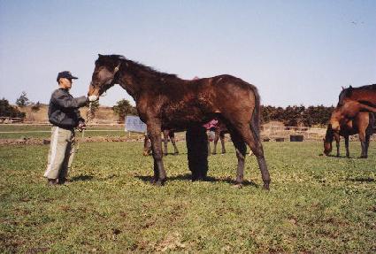 â������ ����