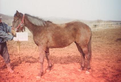 ���ʽ��� ����