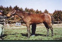 �¸����� (SEUNGNI MAEUL) ����