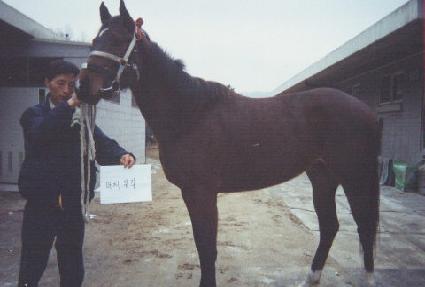 ������ ����