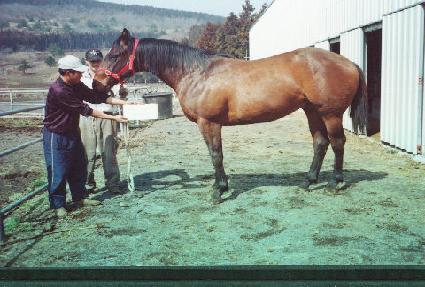 ���̳�����Ʈ ����