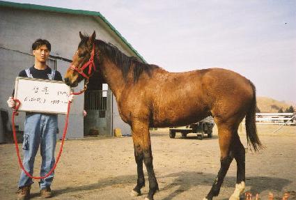 ���Ϸ� ����