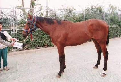 �뼺�� ����