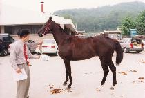 �´����� (GOOD THAN BETTER) ����