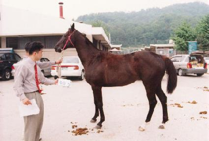 �´����� ����