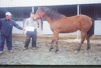 �������� ����