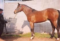 �ݰ���� (GEUMGANG GYEGOK) ����