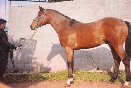 �ݰ���� ����