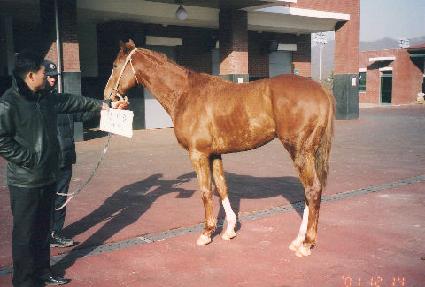 ��õ�� ����