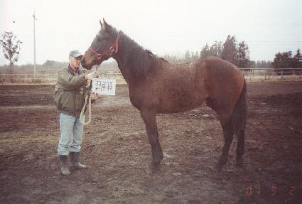 ���� ����