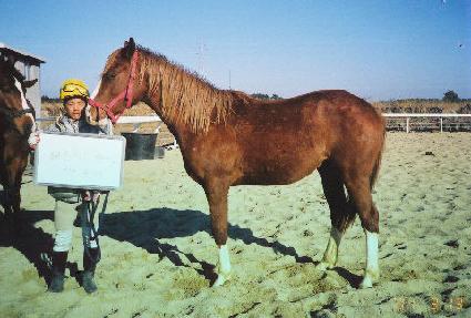 �׶���� ����