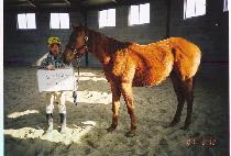 ���ʽý� (GENESIS) ����