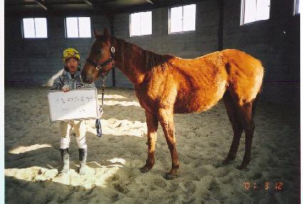 ���ʽý� ����