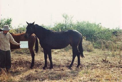 ȭ���� ����