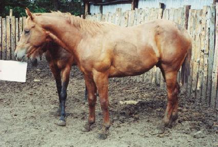 �ٺ��� ����