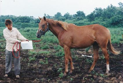 �߹� ����