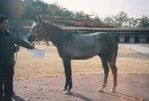 û������ (CHEONGDAM JEGUN) ����