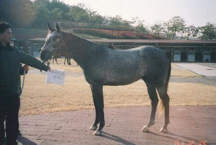 û������ ����