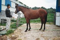 CHEONGHAKSAN picture