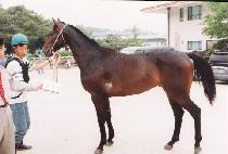 ���߰��� (JIPJUNG GONGNYAK) ����