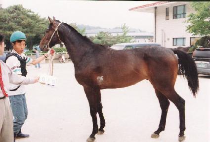 ���߰��� ����