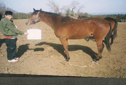 ��� ����