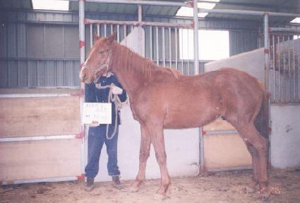 ������Ż ����