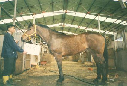 ���� ����