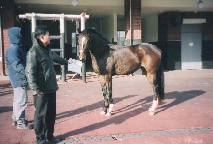 �ѹ߾� ����