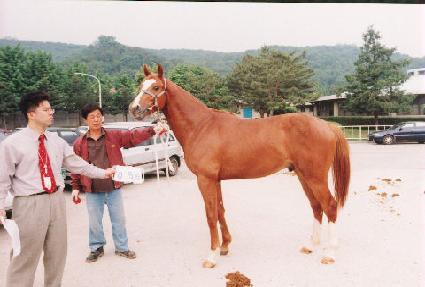 ��õ��ǳ ����