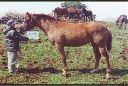 �ڶ��� ����