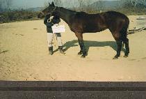 ��� (KWAEMYEONG) ����