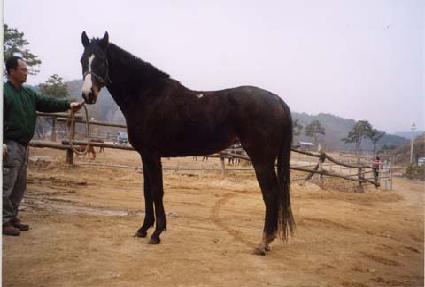 ������� ����