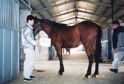 ��õ���� ����