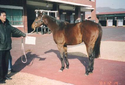 ���� ����