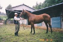 �������� (JAYUMIIN) ����