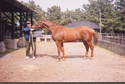 ���� ����