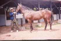 ��Ÿ��� (DELTA FUNCTION) ����