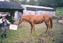 �ź�ο� (SINBIROUN) ����