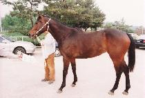 ���ֻ꼺 (GONGJU SANSEONG) ����