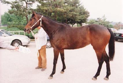 ���ֻ꼺 ����