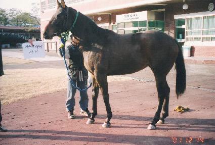 ���ȭ ����