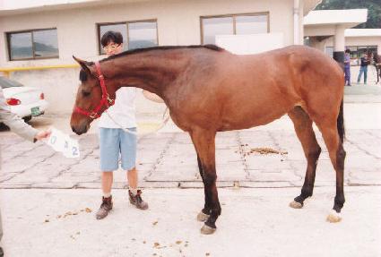 ���� ����