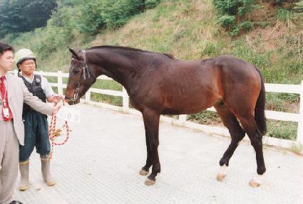 ��ȭ�� ����