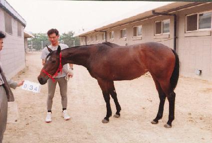 �ϵ� ����