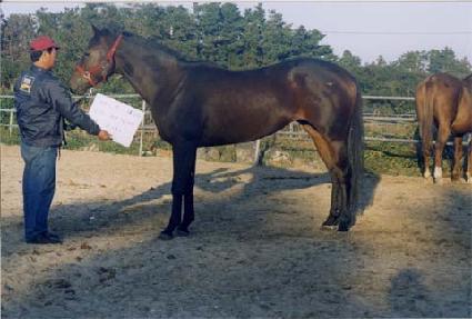 ��Ʈ����� ����