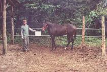 ����� (SA RANG I) ����